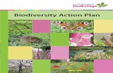 Biodiversity Action Plan - Redbridge · Biodiversity Action Plan, which was written in 1994 (). Following on from the UK BAP, regional BAPs have since been written e.g. the London