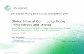 Global Mineral Commodity Prices: Perspectives and Trendsportaldamineracao.com.br/wp-content/uploads/2018/05/cmb...2000 2004 2008 2012 2016 2020 2024 Change in Chinese consumption,