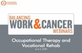 Occupational Therapy and Vocational Rehab · STATE VOCATIONAL REHABILITATION AGENCIES • All 50 states, the District of Columbia, and the U.S. Territories have VR agencies • Provides