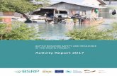 Activity Report 2017 - Pacific Community...4 Activity Report 2017 BUILIDING SAFETY AND RESILIENCE IN THE PACIFIC PROJECT Pacific Community (SPC) 2017 All rights for commercial/for