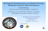 Biological Ramiﬁcations of Climate-Change Mediated Oceanic ... · Biological Ramiﬁcations of Climate-Change Mediated Oceanic Multi-Stressors ! Scott Doney Woods Hole Oceanographic