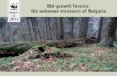 Old-growth forests: the unknown treasures of Bulgaria · last at least 120 years. These forests are rich in structures, forms and life. Trees of all ages might coexist there, but