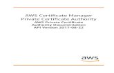 Private Certiﬁcate Authority AWS Certiﬁcate ManagerAlternatively, you can use one of the AWS SDKs to access an API that's tailored to the programming language or platform that