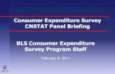 Consumer Expenditure Survey CNSTAT Panel BriefingRichard Schwartz Census DSD Section Chief Rob Cage CPI Cost Weights Branch Chief John Eltinge OSMR Associate Commissioner Vacant PINR
