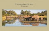 Mashatu Game Reserve Botswanamashatu.com/wp-content/uploads/2017/05/MSHbrochure.pdfMASHATU MAIN CAMP Situated in the centre of Mashatu Game Reserve and in close proximity to the Majale
