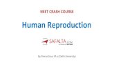 Human Reproduction€¦ · 18/07/2020  · Human Reproduction By, Prerna Gaur, M.sc (Delhi University) Post Fertilization Event HUMAN REPRODUCTION. Post Fertilization Event HUMAN