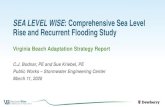 SEA LEVEL WISE: Comprehensive Sea Level Rise ... 2020/03/11 آ  SEA LEVEL WISE: Comprehensive Sea Level