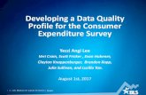 Developing a Data Quality Profile for the Consumer ......1 —U.S. BUREAU OF LABOR STATISTICS •bls.gov Developing a Data Quality Profile for the Consumer Expenditure Survey Yezzi