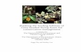 Ranking the feeding habitats of Grey-headed flying foxes ... · (Department of Environment and Climate Change (NSW) 2005; Eby 2006). However, difficulties in defining foraging habitat