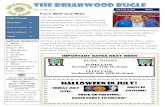 The Briarwood BuglE10:30 am BUSY BEE SHOW and BREAKFAST SUPER CIT Dave & Busters JULY 31 Busy Bee Show Rain date CITs-New York Trip Mini-Campout: Flamingos, Orioles, Otters, Sharks,