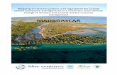 MADAGASCAR - Dan Laffoleydanlaffoley.com/resources/NPA_Madagascar_Final.pdf · Madagascar holds approximately 278, 078 ha of mangroves as of 2005 (Jones et al. 2016), and 98% of this