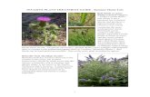 INVASIVE PLANT TREATMENT GUIDE - Summer Home Lotsextension.wsu.edu/.../9/...Guide-US-Forest-Service.pdf · INVASIVE PLANT TREATMENT GUIDE - Summer Home Lots Bull thistle or spear