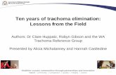 Ten years of trachoma elimination: Lessons from the Blue power point template to meet Style Guide requirements