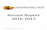 Annual Report 2016-2017 - Bloodwood Tree Association · Bloodwood Tree continues to Chair and lead the Port Hedland Alcohol and Other Drug Management Plan Working Group. This past