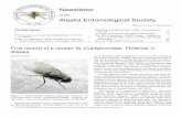 Newsletter - U.S. Fish and Wildlife Service · Volume 8, Issue 1, March 2015 2 P. vagabunda from Sesamia nonagrioides (Lefebvre) (Rognes, 1992). Chondrostega maghrebica De Joannis