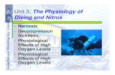 Unit 3 The Physiology of Diving and Nitroxsubseaservices.com/pdf/Color/Unit 3 The Physiology of Diving and Ni… · Unit 3 -The Physiology of Diving Nitrox Central Nervous System