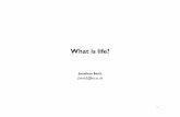 What is life? - LSEpersonal.lse.ac.uk/ROBERT49/teaching/ph201/lectures/Birch-Slides.pdf · A mule cannot reproduce (6/7). A comatose geriatric mule cannot reproduce, respond to stimuli