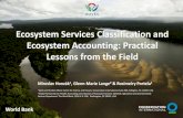 Ecosystem Services Classification and Ecosystem Accounting ... · Ecosystem Services Classification and Ecosystem Accounting: Practical Lessons from the Field Miroslav Honzák1, Glenn-Marie
