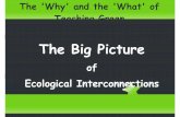 The Big Picture - Ministry of Education€¦ · The Big Picture: Putting a Price Tag on Nature Biologists and economists in 1997 estimated that the services the natural world provides