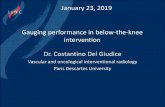 January 23, 2019 Gauging performance in below-the-knee …€¦ · Vascular and oncological interventional radiology Paris Descartes University January 23, 2019. Disclosure Speaker