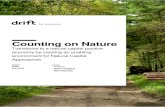 Counting on Nature - DRIFT · Counting on Nature: Transitions to a natural capital positive economy iii Table 2 Policy menu for an enabling environment Menu of possible government