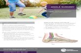 ANKLE SURGERY...An ankle arthrodesis is a reconstructive surgical procedure where an arthritic ankle joint is converted into an immobile segment of bone. The ankle consists of the