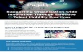 Supporting Organisation-wide Innovation Through Effective ... · HR’s role in establishing talent mobility to support innovation. Moving beyond traditional succession management,