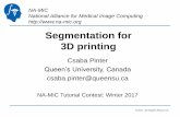 Segmentation for 3D printing NA-MIC National Alliance for Medical Image Computing Segmentation for 3D
