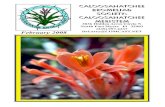 CALOOSAHATCHEE BROMELIAD SOCIETY’s CALOOSAHATCHEE … · Ann, Steve, and Vicky for the slide show presentation and commentary at the January Workshop. For those that were at the