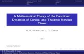 A Mathematical Theory of the Functional Dynamics of Cortical …kouzn101/SEMINAR/GOveral1.pdf · A Mathematical Theory of the Functional Dynamics of Cortical and Thalamic Nervous