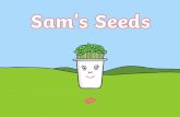 On Monday, Sam’s grandpa picked him up from school. “I’ve ... · “My sunflower plant is getting taller. It’s starting to grow some more leaves too!” “Great!” replied
