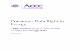 Consumer Data Right in Energy · Consumer Data Right in Energy 7 2. Purpose of this paper The Government has announced its intention to include energy data in the consumer data right