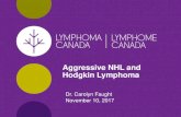 Aggressive NHL and Hodgkin Lymphoma · Overview of primary treatment options Treatment Option Description Chemotherapy Use of drugs to kill lymphoma cells Radiation Therapy Use of