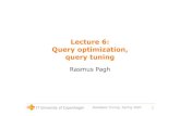 Lecture 6: Query optimization, query tuning · Query optimization, query tuning Rasmus Pagh. Database Tuning, Spring 2007 2 Today’s lecture •Only one session (10-13) •Query