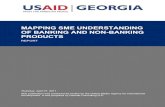 MAPPING SME UNDERSTANDING OF BANKING AND NON-BANKING … · 2019-12-16 · MAPPING SME UNDERSTANDING OF BANKING AND NON-BANKING REQUIREMENTS FINAL . ECONOMIC PROSPERITY INITIATIVE