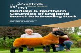 Carlisle & Northern Counties of England · 17 Shearling Rams 160 Lamb Rams SALE: 11.30am Buyer's Viewing Period – 9.30am - 11.30am Auctioneers Head Office: Borderway Mart Rosehill