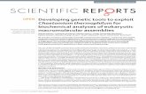 Developing genetic tools to exploit Chaetomium …lab.rockefeller.edu/.../assets/file/2016_Kellner_SciRep.pdfSCIENTIIC REPORTS 23 113srep23 1 naturecomscientificreports Developing
