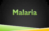 Malaria - final - Wiki · Malaria has been known to mankind for thousands of years. ... Malaria - final Created Date: 11/30/2016 3:03:42 AM ...