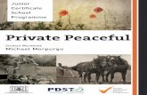 Private Peaceful...Programme (JCSP), the Literacy and Numeracy Strategy, the Demonstration Library Project and the Delivering Equality of Opportunity in Schools(DEIS)Action Plan are