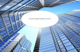 Next Endeavor Commercial Real Estate - …...Crowdfunding by definition is “the practice of funding a project or venture by raising many small amounts of money from a large number