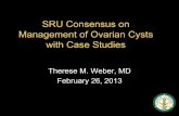 SRU Consensus on Management of Ovarian Cysts with Case Studiesradreference.info/ewExternalFiles/SRU - Ovarian Cysts.pdf · Guidelines for management of ovarian cysts. 2. Apply these
