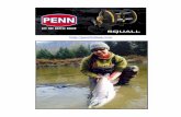 purefishing - Noel Gyger · How to read this webpage: Scroll down to read ALL the Current updates in Red highlighted in Yellow The most up-to-date reports are DATE STAMPED (Example: