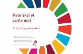 Hvor skal vi sætte ind? - Innovationsfonden · Sustainable development is all about finding the ”sweet spot” where synergies are exploited while negative impacts are minimized
