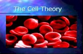 The Cell Theory - Ms. Hugheshughesh.weebly.com/.../2/0/0/22004468/the_cell_theory14.pdf · 2019-09-08 · The Cell Theory Complete The 3 Basic Components of the Cell Theory were now