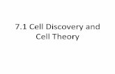 7.1 Cell Discovery and Cell Theory - mrsshior.weebly.com · The cell theory 1. All living organisms are made of one of more cells.! 2. Cells are the basic unit of structure and function