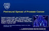 Perineural Spread of Prostate Cancer...comparing high resolution MRI with torso and endorectal coils and F-18 FDG and C-11 choline PET/CT." Abdom Imaging 38(5): 1155-1160. 3. Ladha,