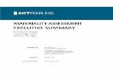 MATERIALITY ASSESSMENT EXEUTIVE SUMMARY · 1/20/2016  · “Assessment”) for onsumers Energy, the principal subsidiary of Jackson-based MS Energy ... The following table is a summary