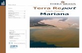 Índice: Terra Report Marianaterrabrasis.com.br/Content/pdf/Terra Report Edicao Especial 3 v70.pdfVisão aérea de Bento Rodrigues, antes e depois do rompimento da barragem Fonte: