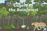 The Rainforest · The animals of the rainforest do not usually stay in only one layer. Some animals can be found in several different rainforest layers. Some animals may live in one