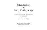 Introduction Early Embryology...The Developing Human – Three Phases Early development Embryonic phase – organogenesis Most sensitive phase Potential for maldevelopment Effects
